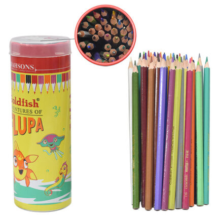 Goldfish Colour Pencil Can 36Pcs